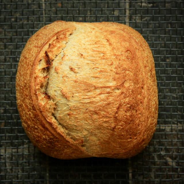 Pain Levain